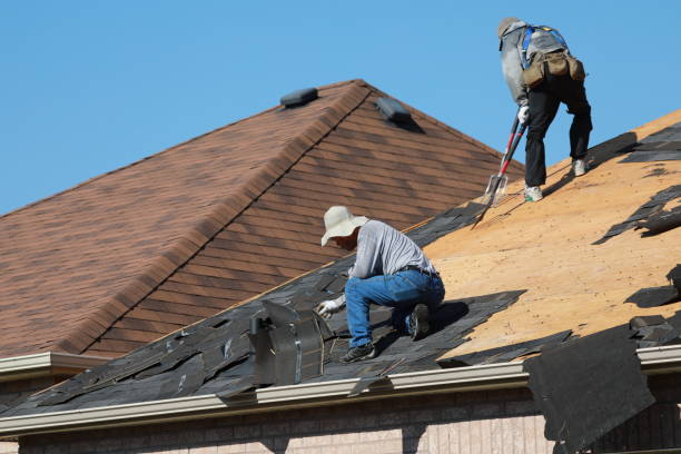 Best Asphalt Shingle Roofing  in Rocky Mount, NC