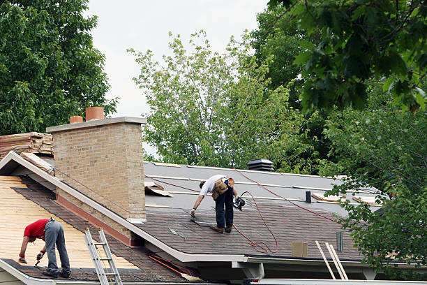 Best Roof Leak Repair  in Rocky Mount, NC